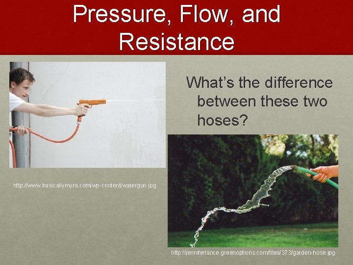 Pressure, Flow, and Resistance What’s the difference between these two hoses? http: //www. basicallymyra.