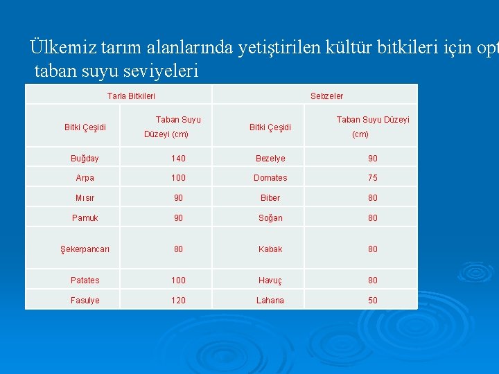 Ülkemiz tarım alanlarında yetiştirilen kültür bitkileri için opt taban suyu seviyeleri Tarla Bitkileri Bitki