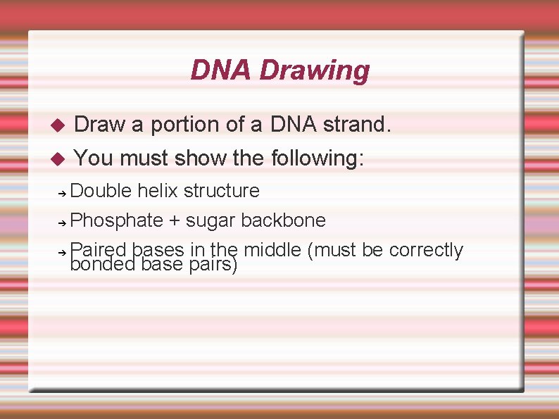 DNA Drawing Draw a portion of a DNA strand. You must show the following: