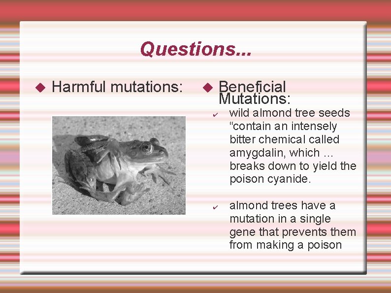 Questions. . . Harmful mutations: Beneficial Mutations: ✔ ✔ wild almond tree seeds “contain