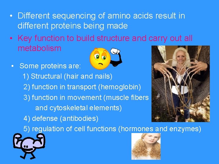  • Different sequencing of amino acids result in different proteins being made •