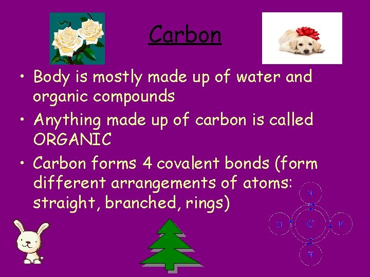Carbon • Body is mostly made up of water and organic compounds • Anything