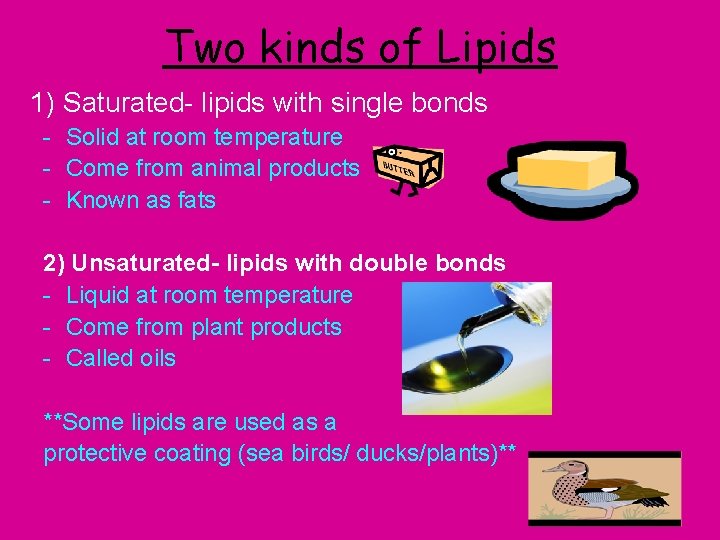 Two kinds of Lipids 1) Saturated- lipids with single bonds - Solid at room