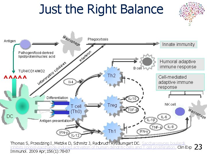 Just the Right Balance Ma cro pha Antigen Phagocytosis ge on Pathogen/food-derived lipid/protein/nucleic acid