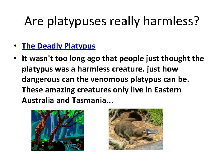 Are platypuses really harmless? • The Deadly Platypus • It wasn't too long ago
