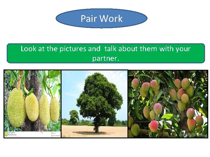 Pair Work Look at the pictures and talk about them with your partner. 