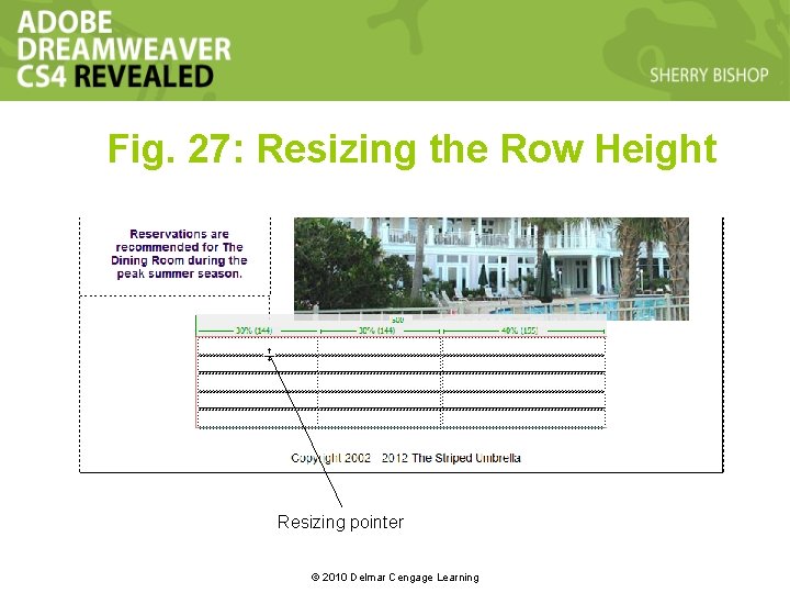 Fig. 27: Resizing the Row Height Resizing pointer © 2010 Delmar Cengage Learning Fig. 27: Resizing the Row Height Resizing pointer © 2010 Delmar Cengage Learning