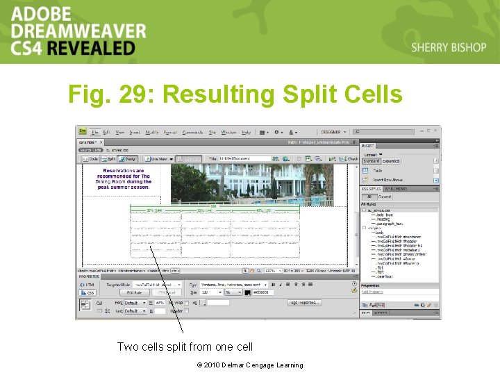 Fig. 29: Resulting Split Cells Two cells split from one cell © 2010 Delmar Fig. 29: Resulting Split Cells Two cells split from one cell © 2010 Delmar