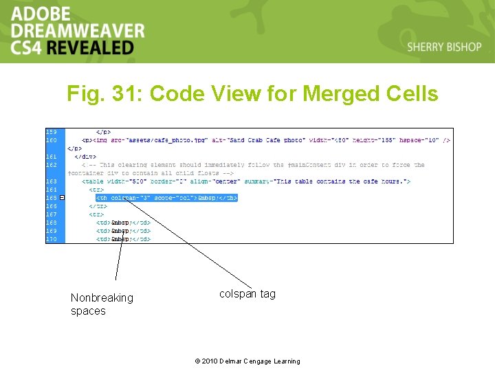 Fig. 31: Code View for Merged Cells Nonbreaking spaces colspan tag © 2010 Delmar Fig. 31: Code View for Merged Cells Nonbreaking spaces colspan tag © 2010 Delmar