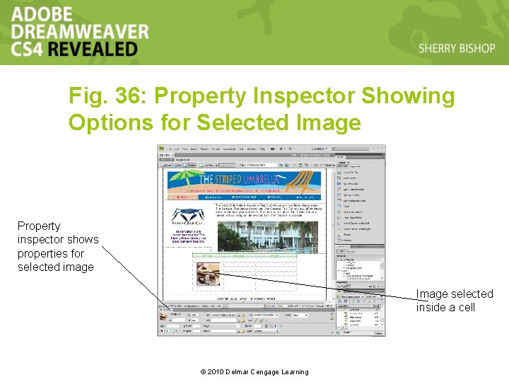 Fig. 36: Property Inspector Showing Options for Selected Image Property inspector shows properties for Fig. 36: Property Inspector Showing Options for Selected Image Property inspector shows properties for