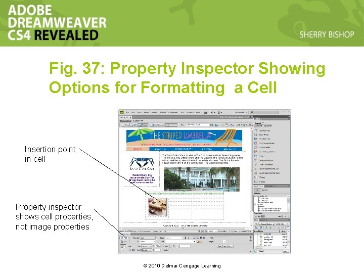 Fig. 37: Property Inspector Showing Options for Formatting a Cell Insertion point in cell Fig. 37: Property Inspector Showing Options for Formatting a Cell Insertion point in cell