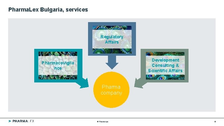 Pharma. Lex Bulgaria, services Regulatory Affairs Development Consulting & Scientific Affairs Pharmacovigila nce Pharma