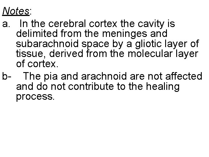 Notes: a. In the cerebral cortex the cavity is delimited from the meninges and