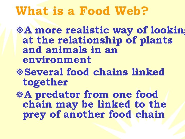 What is a Food Web? ]A more realistic way of looking at the relationship