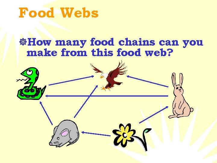 Food Webs ]How many food chains can you make from this food web? 