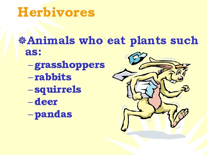 Herbivores ]Animals who eat plants such as: – grasshoppers – rabbits – squirrels –