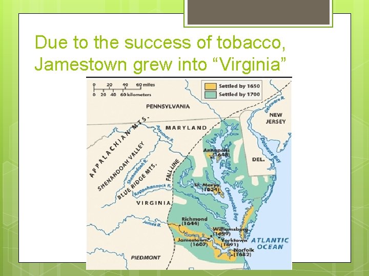 Due to the success of tobacco, Jamestown grew into “Virginia” 