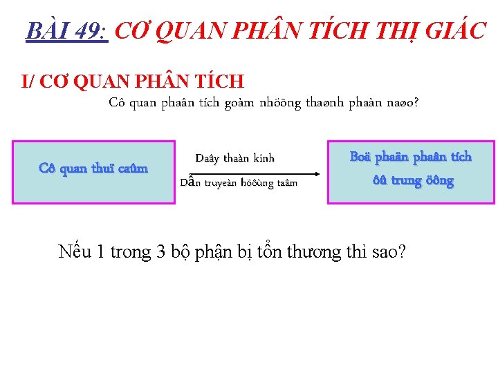 BÀI 49: CƠ QUAN PH N TÍCH THỊ GIÁC I/ CƠ QUAN PH N