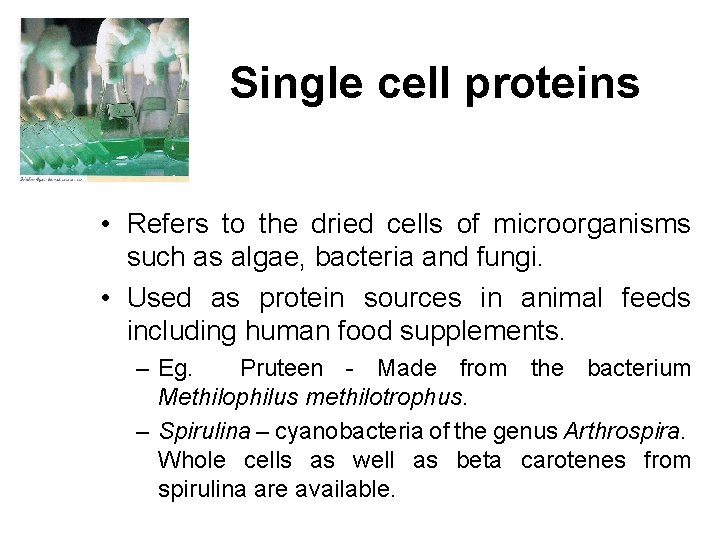 Single cell proteins • Refers to the dried cells of microorganisms such as algae,