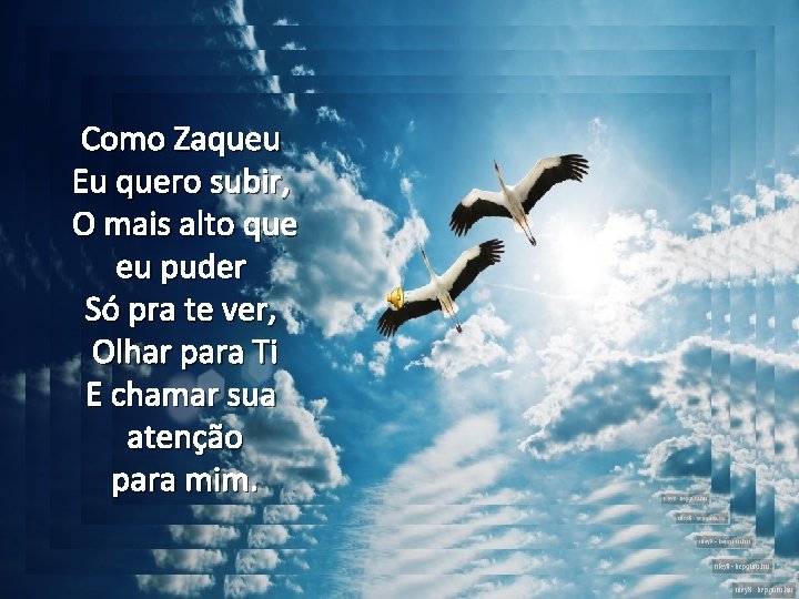 Como Zaqueu Eu quero subir, O mais alto que eu puder Só pra te