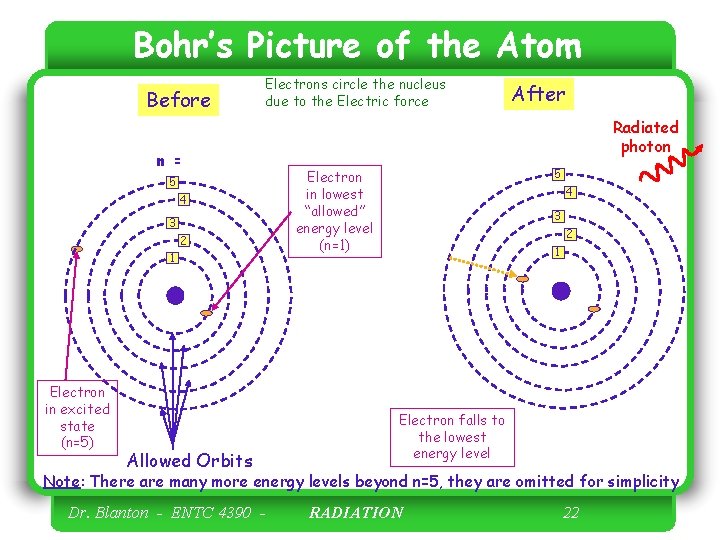 Bohr’s Picture of the Atom Before Electrons circle the nucleus due to the Electric