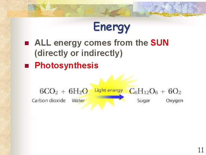 Energy n n ALL energy comes from the SUN (directly or indirectly) Photosynthesis 11