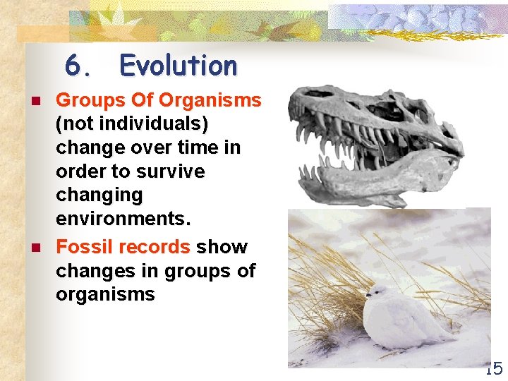 6. Evolution n n Groups Of Organisms (not individuals) change over time in order