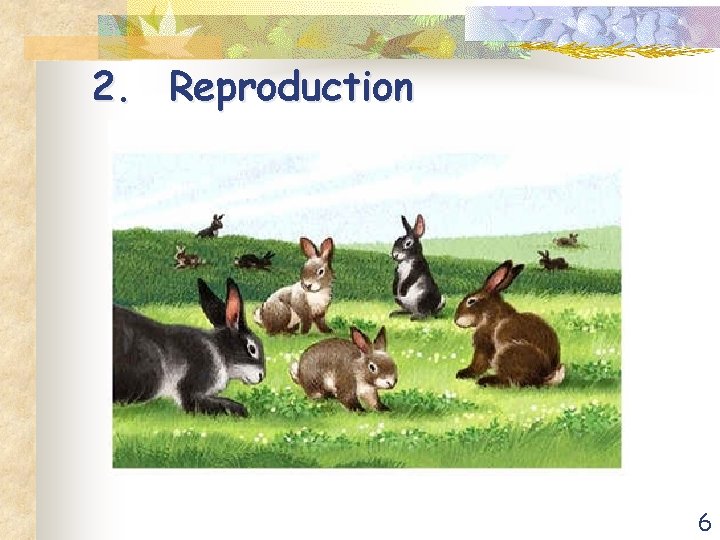 2. Reproduction 6 