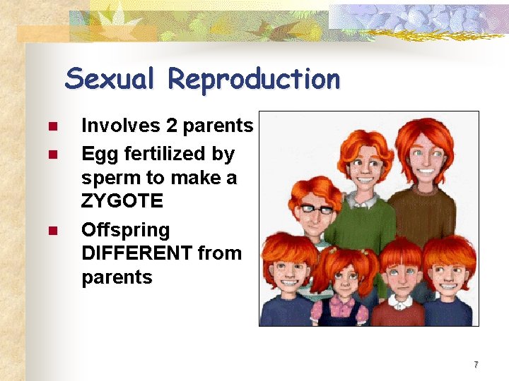 Sexual Reproduction n Involves 2 parents Egg fertilized by sperm to make a ZYGOTE