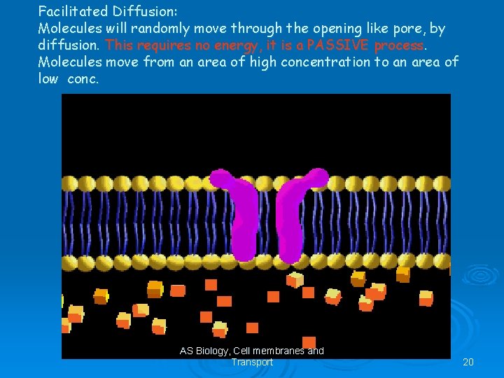 Facilitated Diffusion: Molecules will randomly move through the opening like pore, by diffusion. This