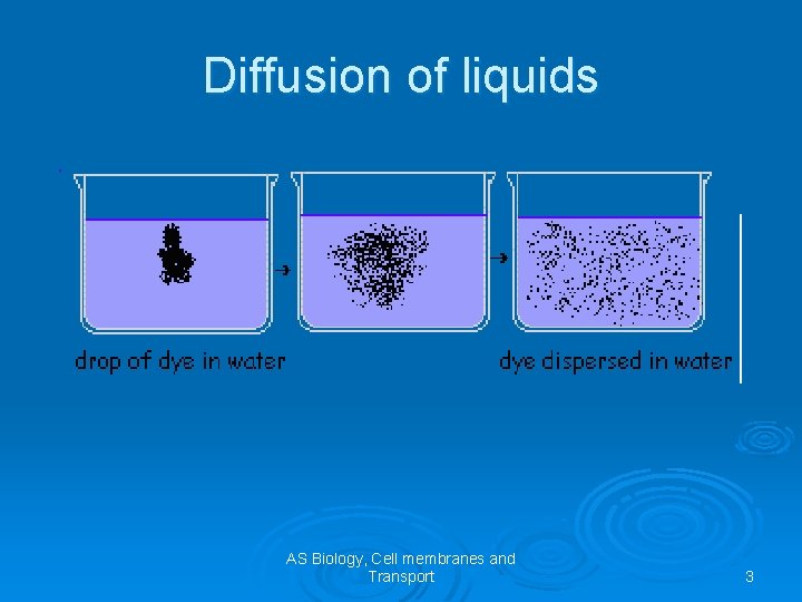 Diffusion of liquids AS Biology, Cell membranes and Transport 3 