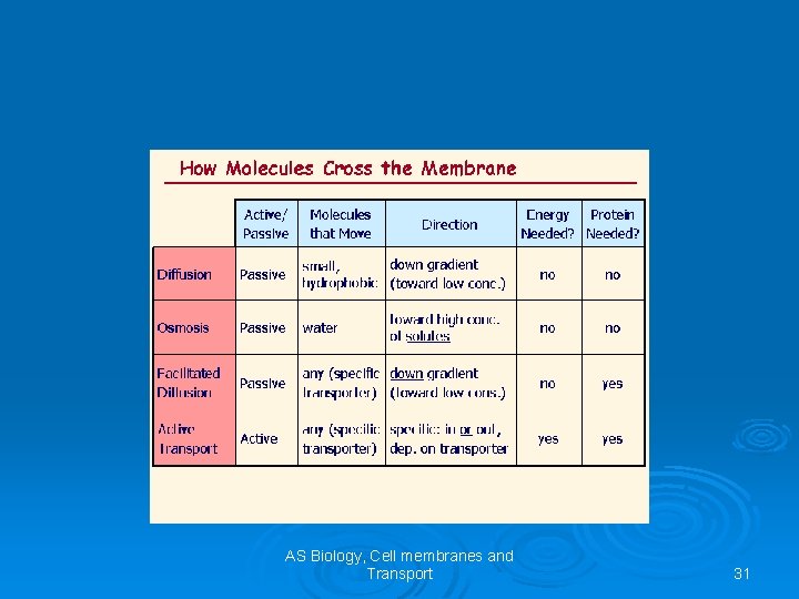 AS Biology, Cell membranes and Transport 31 