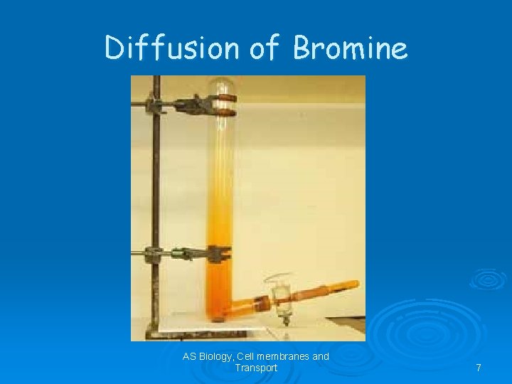 Diffusion of Bromine AS Biology, Cell membranes and Transport 7 