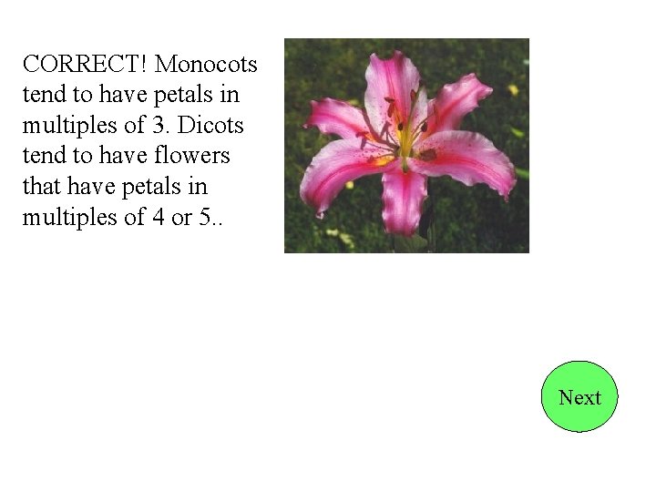 CORRECT! Monocots tend to have petals in multiples of 3. Dicots tend to have