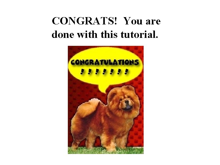 CONGRATS! You are done with this tutorial. 