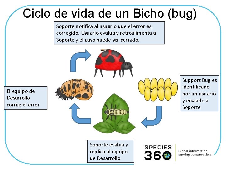 Ciclo de vida de un Bicho (bug) Soporte notifica al usuario que el error