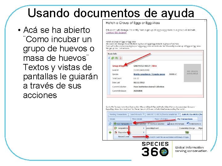 Usando documentos de ayuda • Acá se ha abierto ¨Como incubar un grupo de