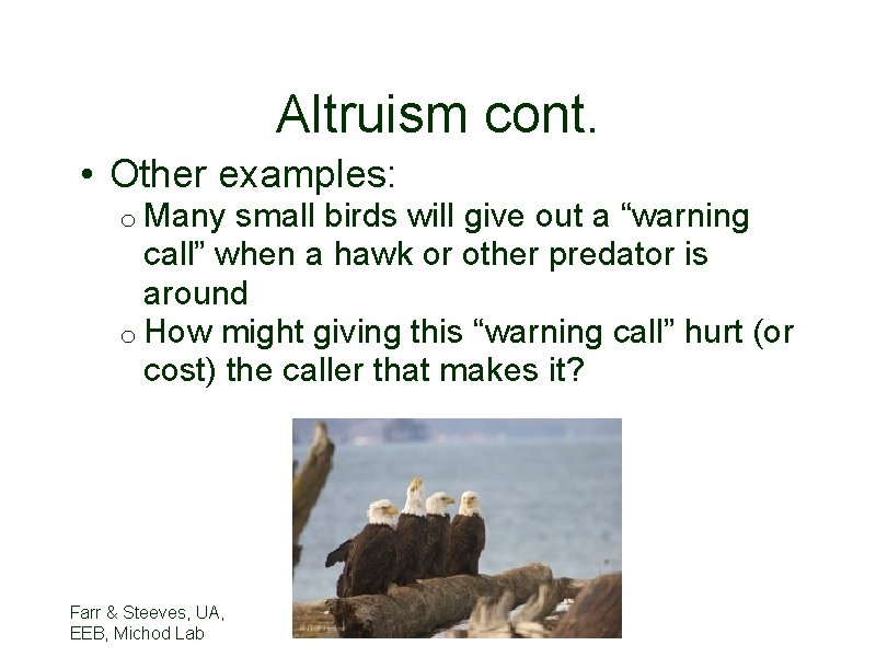 Altruism cont. • Other examples: o Many small birds will give out a “warning