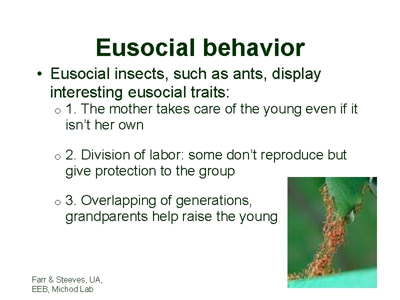 Eusocial behavior • Eusocial insects, such as ants, display interesting eusocial traits: o 1.
