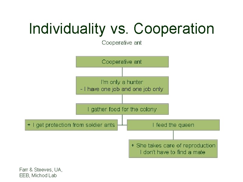 Individuality vs. Cooperation Farr & Steeves, UA, EEB, Michod Lab 