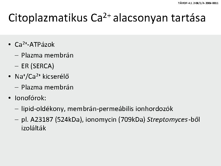 TÁMOP-4. 1. 2 -08/1/A-2009 -0011 Citoplazmatikus Ca 2+ alacsonyan tartása • Ca 2+-ATPázok –