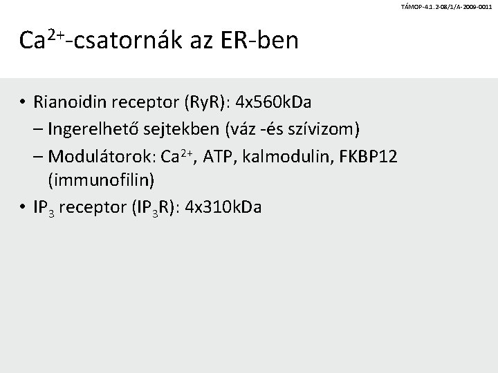 TÁMOP-4. 1. 2 -08/1/A-2009 -0011 Ca 2+-csatornák az ER-ben • Rianoidin receptor (Ry. R):