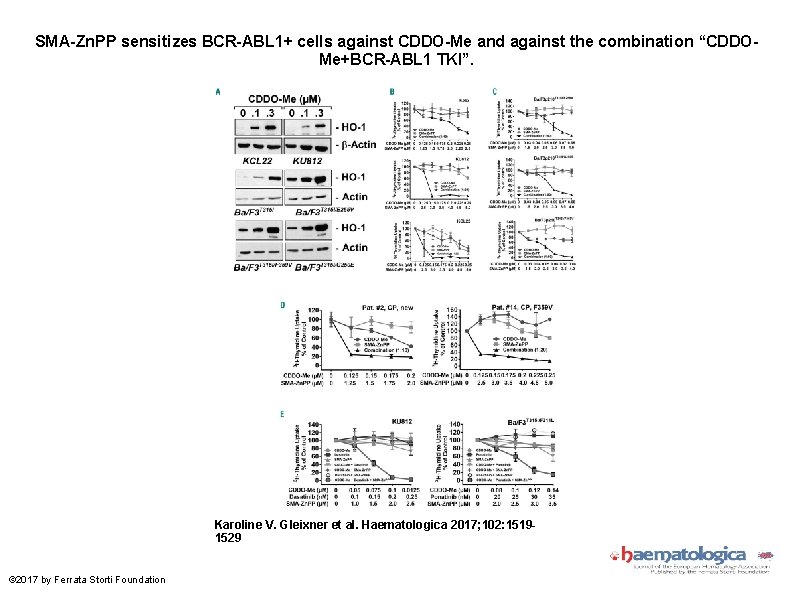 SMA-Zn. PP sensitizes BCR-ABL 1+ cells against CDDO-Me and against the combination “CDDOMe+BCR-ABL 1