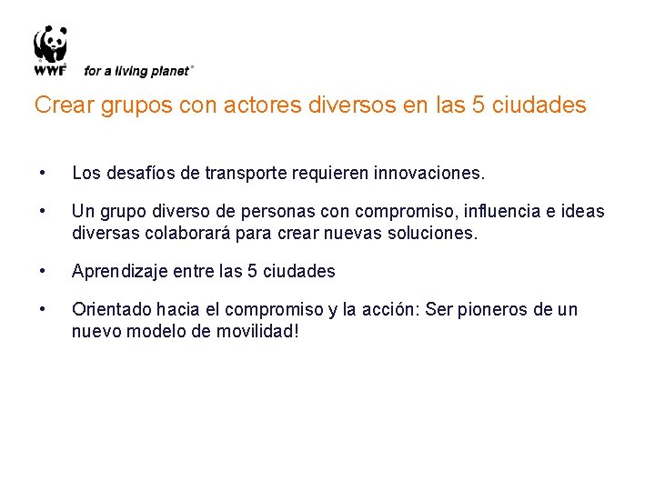 Crear grupos con actores diversos en las 5 ciudades • Los desafíos de transporte