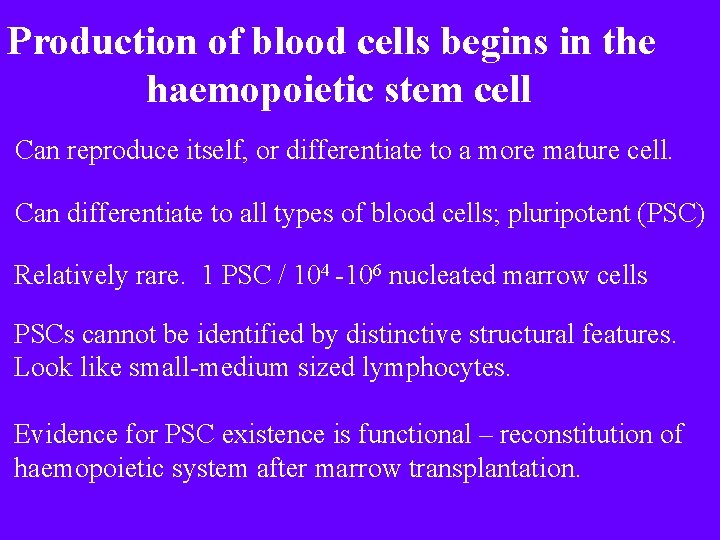 Production of blood cells begins in the haemopoietic stem cell Can reproduce itself, or