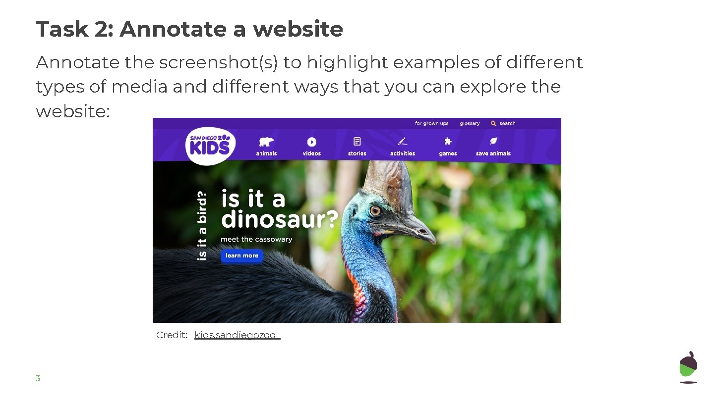 Task 2: Annotate a website Annotate the screenshot(s) to highlight examples of different types
