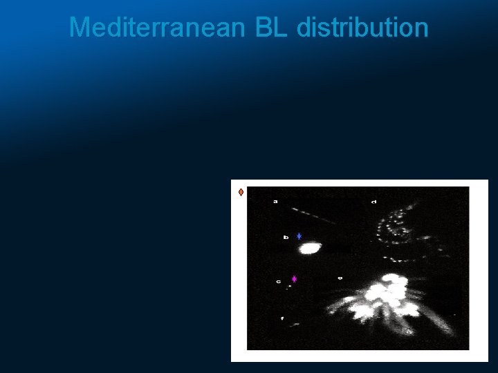 Mediterranean BL distribution 