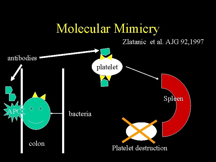 Molecular Mimicry Zlatanic et al. AJG 92, 1997 antibodies platelet Spleen APC bacteria colon