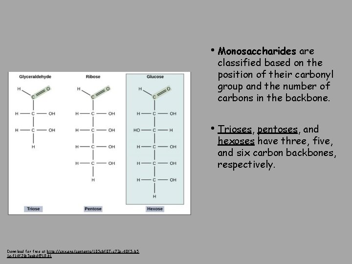  • Monosaccharides are classified based on the position of their carbonyl group and