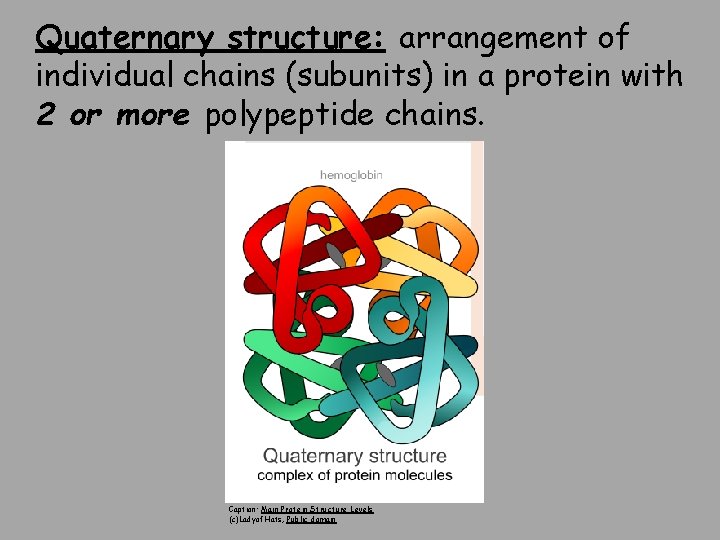 Quaternary structure: arrangement of individual chains (subunits) in a protein with 2 or more